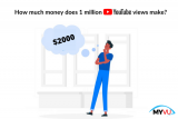 How much money does 1 million youtube views make?